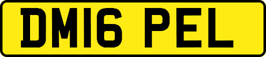 DM16PEL