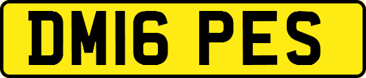 DM16PES