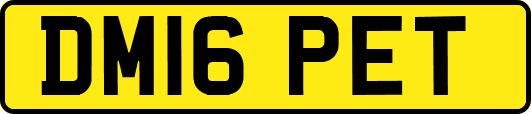 DM16PET