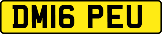 DM16PEU