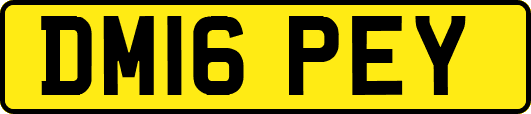 DM16PEY