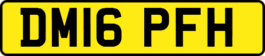 DM16PFH