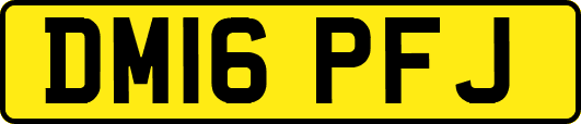 DM16PFJ
