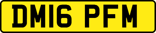 DM16PFM