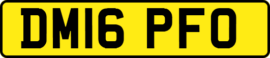DM16PFO