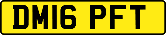 DM16PFT