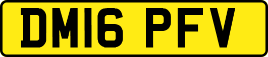 DM16PFV