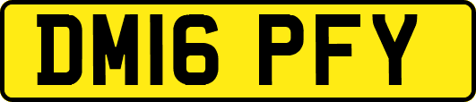 DM16PFY