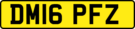 DM16PFZ