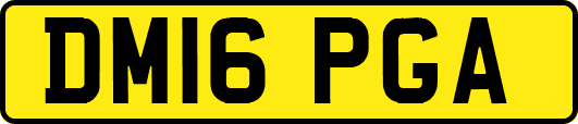 DM16PGA