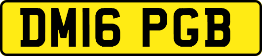 DM16PGB
