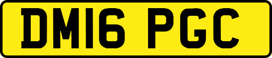 DM16PGC