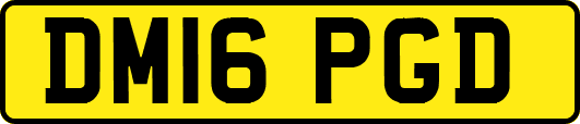 DM16PGD