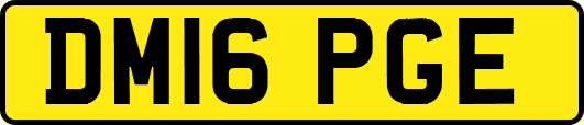 DM16PGE