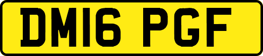 DM16PGF