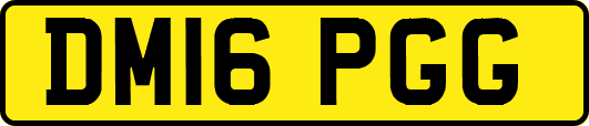 DM16PGG