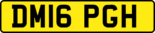 DM16PGH