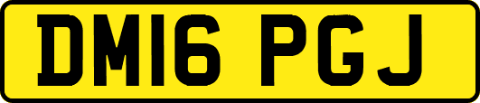 DM16PGJ