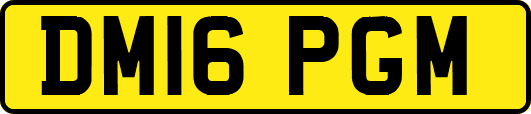 DM16PGM