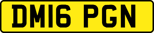 DM16PGN