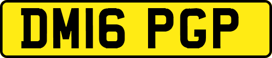 DM16PGP