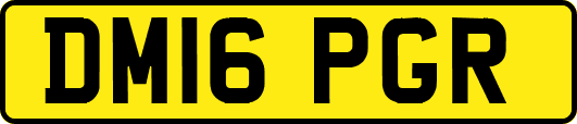 DM16PGR
