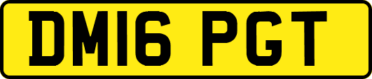 DM16PGT