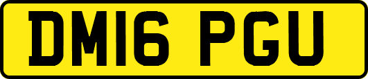 DM16PGU