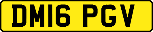 DM16PGV