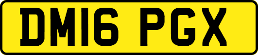 DM16PGX