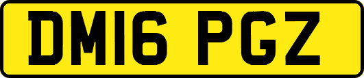 DM16PGZ
