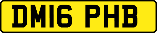 DM16PHB