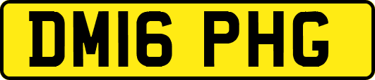 DM16PHG