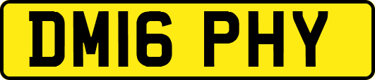 DM16PHY