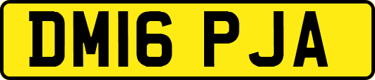 DM16PJA