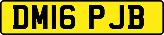 DM16PJB