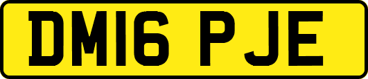 DM16PJE