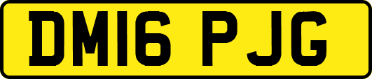 DM16PJG