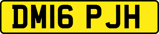 DM16PJH