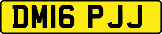 DM16PJJ