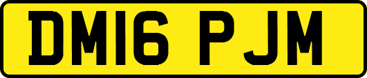 DM16PJM