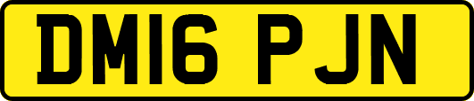 DM16PJN