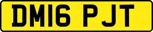 DM16PJT
