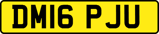 DM16PJU