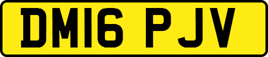 DM16PJV