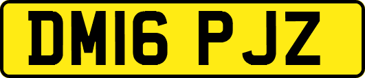 DM16PJZ
