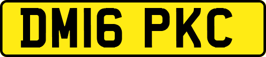 DM16PKC