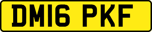 DM16PKF