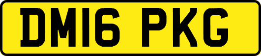 DM16PKG