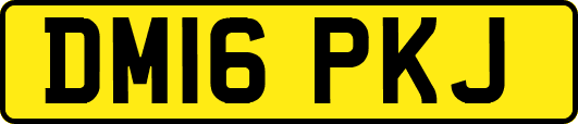 DM16PKJ
